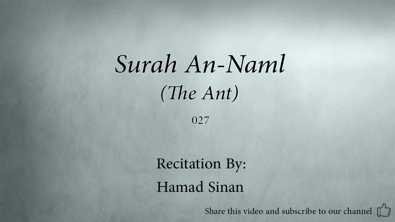 Surah An Naml The Ant   027   Hamad Sinan   Quran Audio