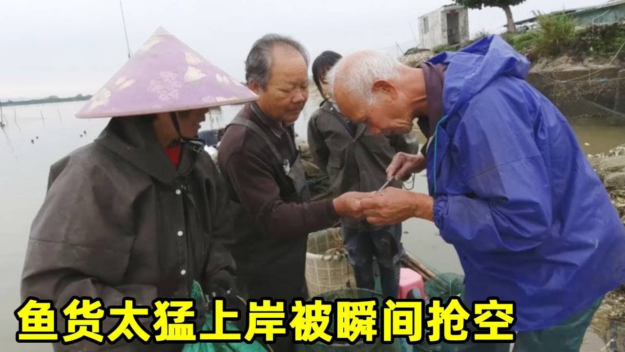 阿渔妹赶海运气爆棚，值钱猛货装满盆，刚上岸被瞬间抢空【阿渔妹】