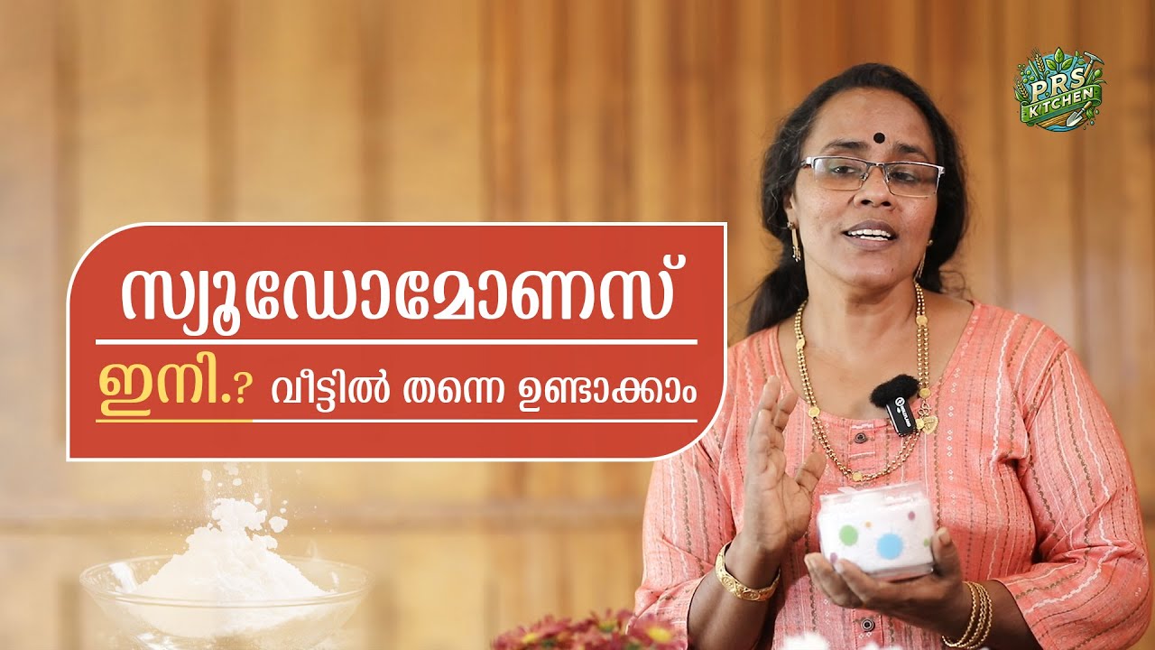 സ്യൂഡോമോണസ് ഇനി വീട്ടിൽ തന്നെ ഉണ്ടാക്കാം | Making of Pseudomonas at Home In Malayalam | PRS Kitchen