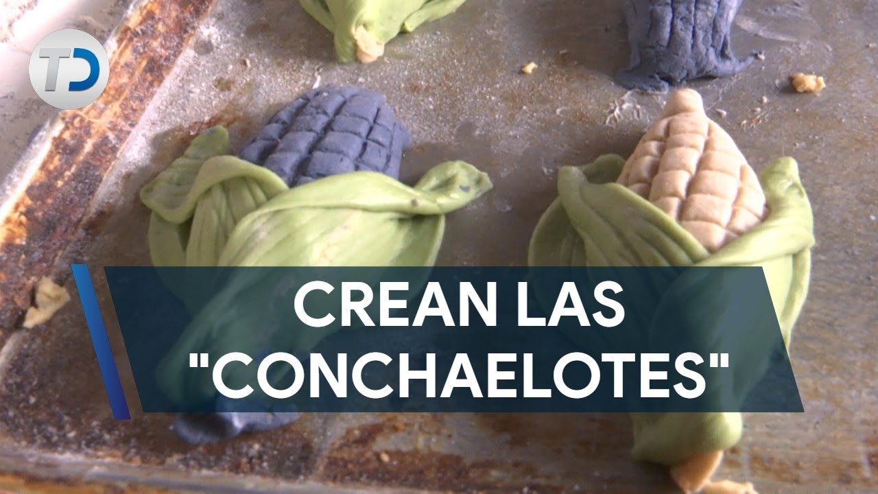 Crean en Saltillo las 