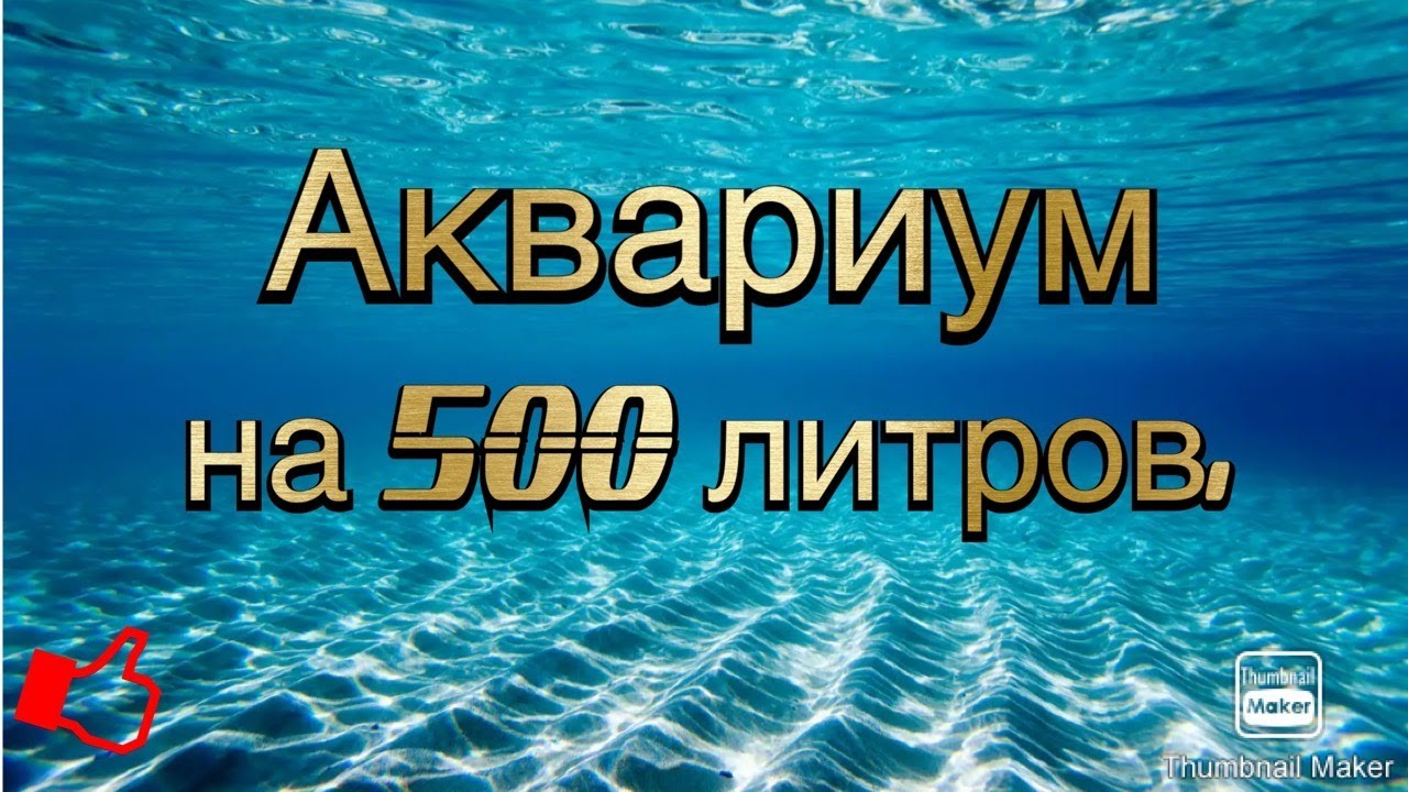 Аквариум на 500 литров