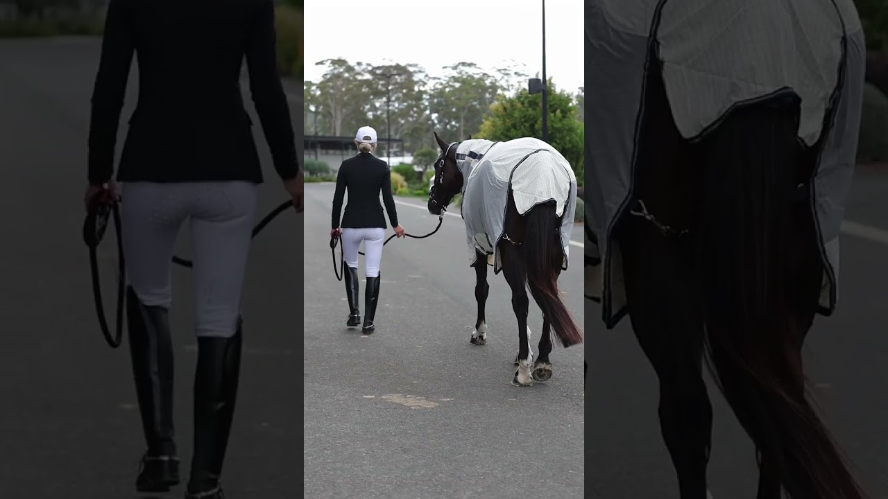 Meet the Rambo® Airflow by Horseware® Ireland