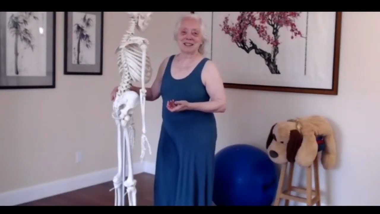 Free the Vital Energy and Illuminating Presence of Your Spine: A Body-Mind Centering&reg; Approach