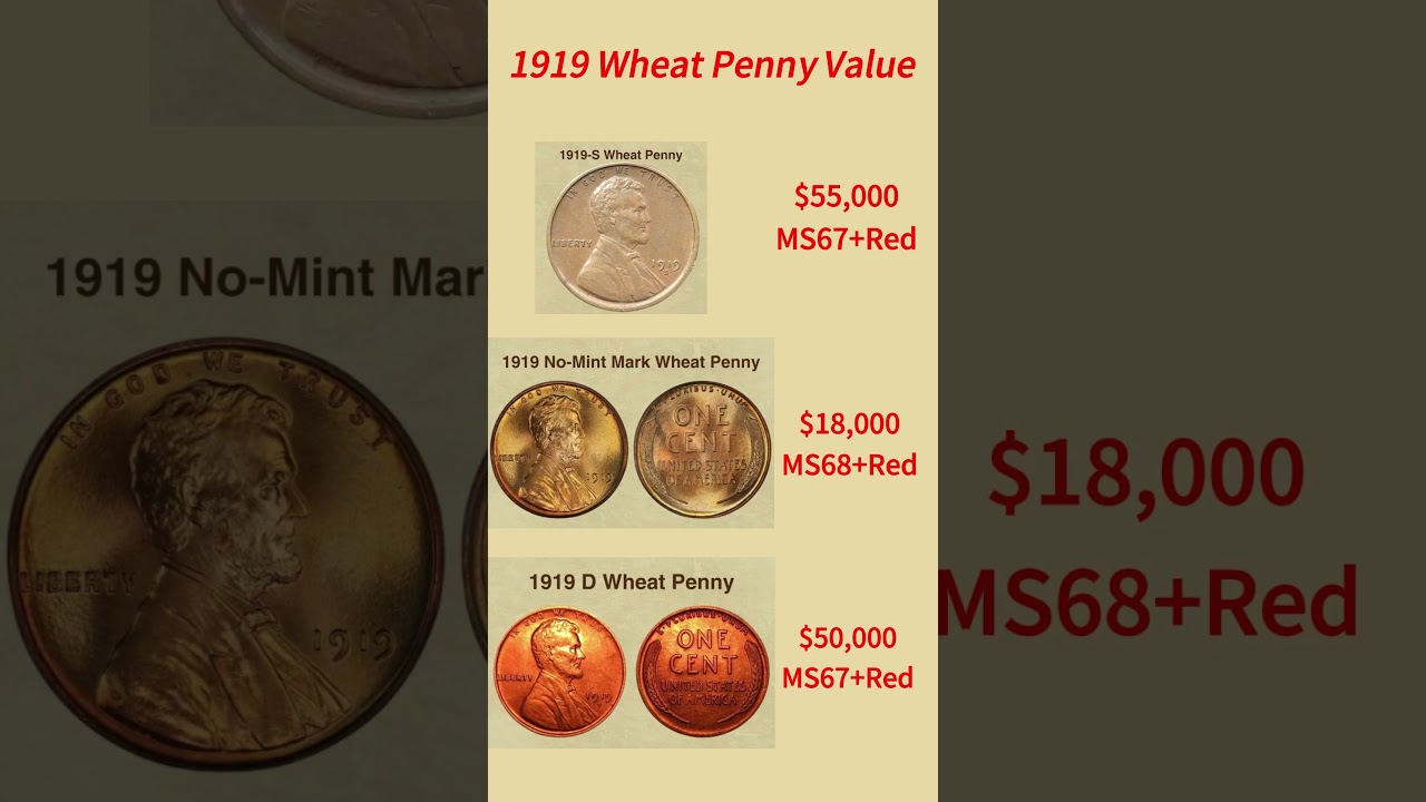 1919 Wheat Penny Value Guide #coin  #coincollecting  #penny  #treasurehunting  #1919
