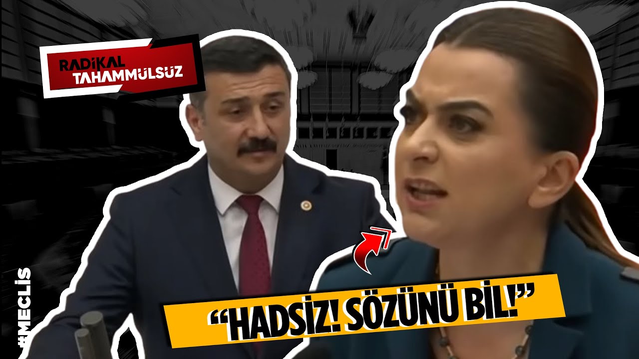 Meclis'te 'Hadsiz' krizi! İYİ Partili vekil konuştu DEM'li vekiller çıldırdı | ARŞİV