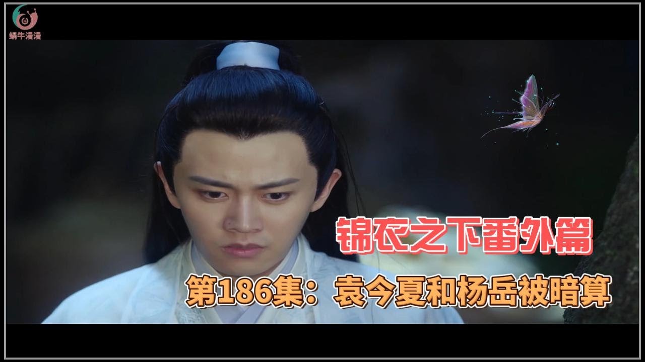 锦衣之下番外篇，第186集：袁今夏和杨岳被暗算。