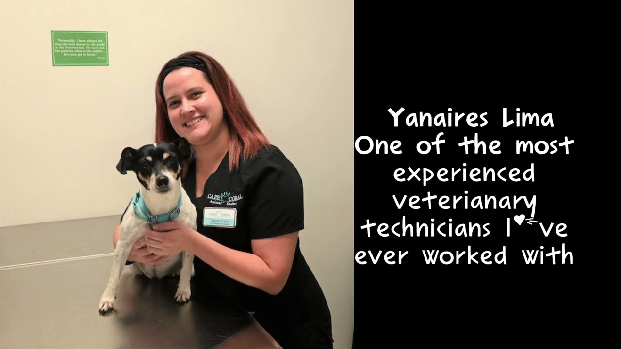Cape Coral Animal Shelter and Veterinary Clinic Podcast