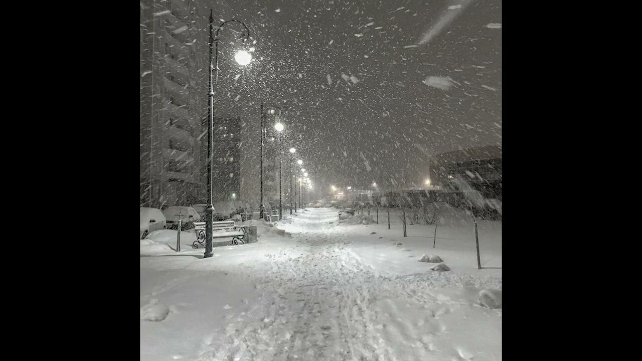 *free for profit* ZHANULKA X INDIE POP TYPE BEAT - 