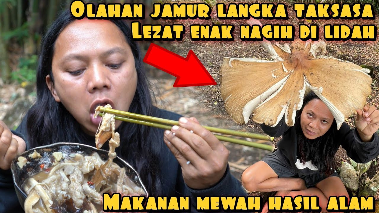 MAKAN MEWAH JAMUR LANGKA RAKSASA TUMBUH LIAR