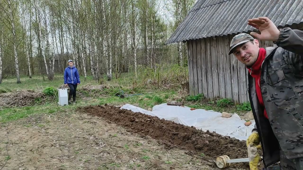 Посадка картошки электроплугом лебедкой сельскохозяйственной производства ЛС 100А Беларусь