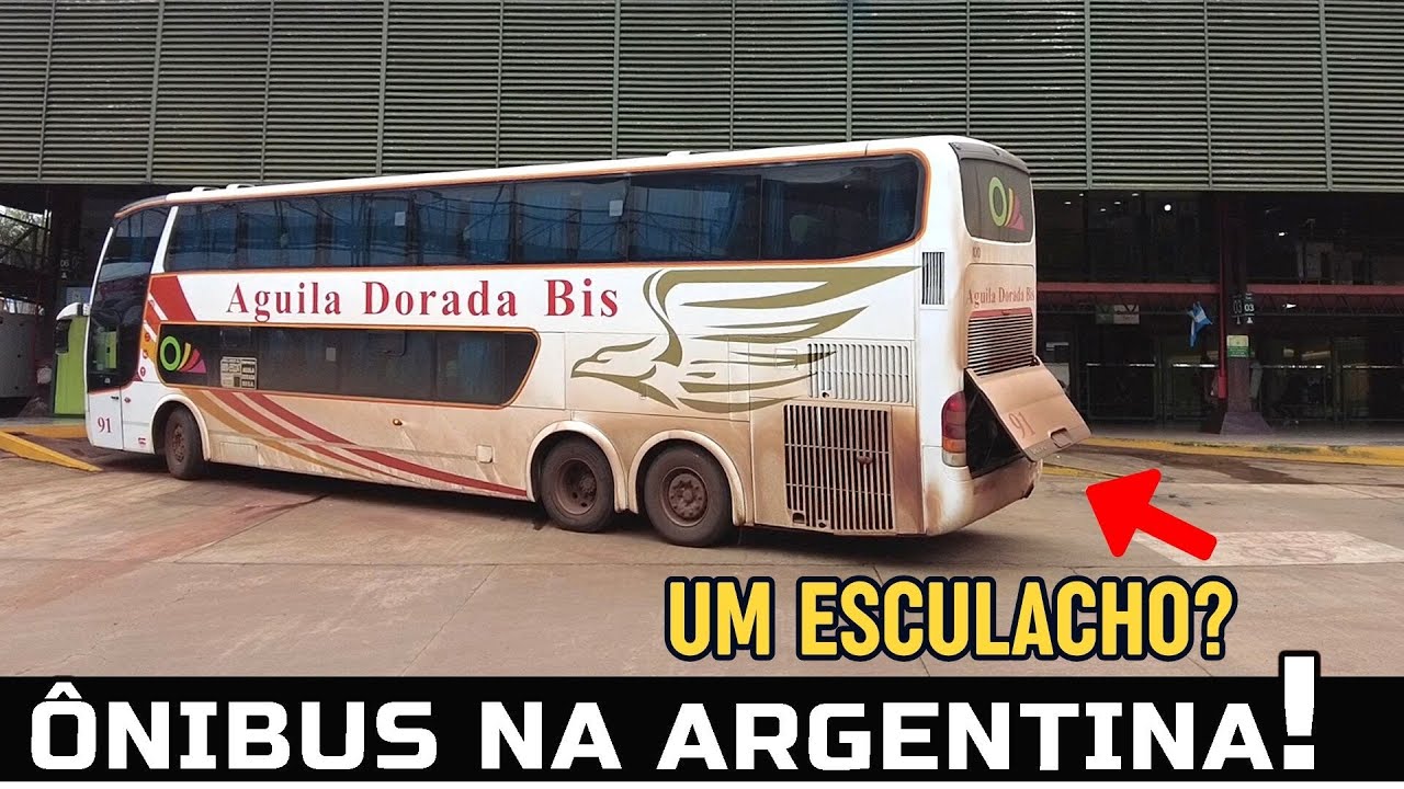 MUITOS ÔNIBUS DIFERENTES EM PUERTO IGUAZÚ | ÔNIBUS RODOVIÁRIOS NA ARGENTINA [PARTE 2]