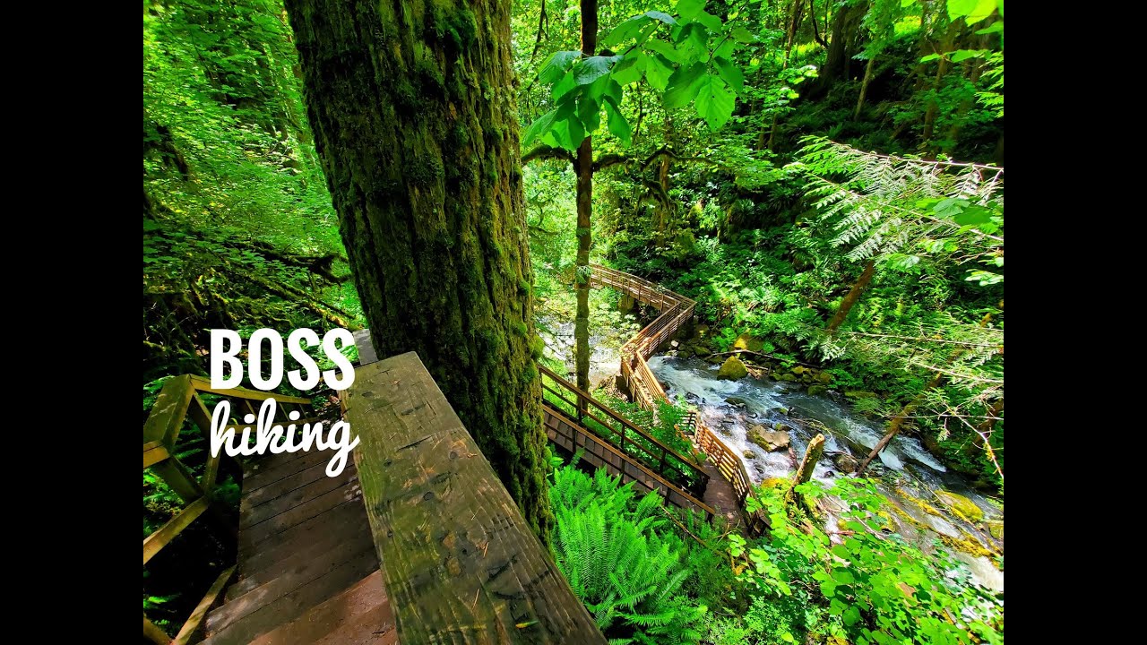 McDowell Creek Falls Loop Hike