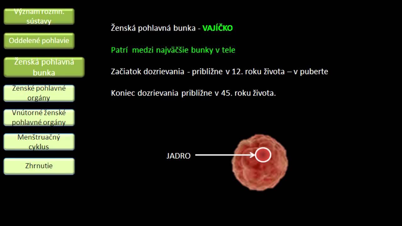 Biológia - Ženské pohlavné orgány