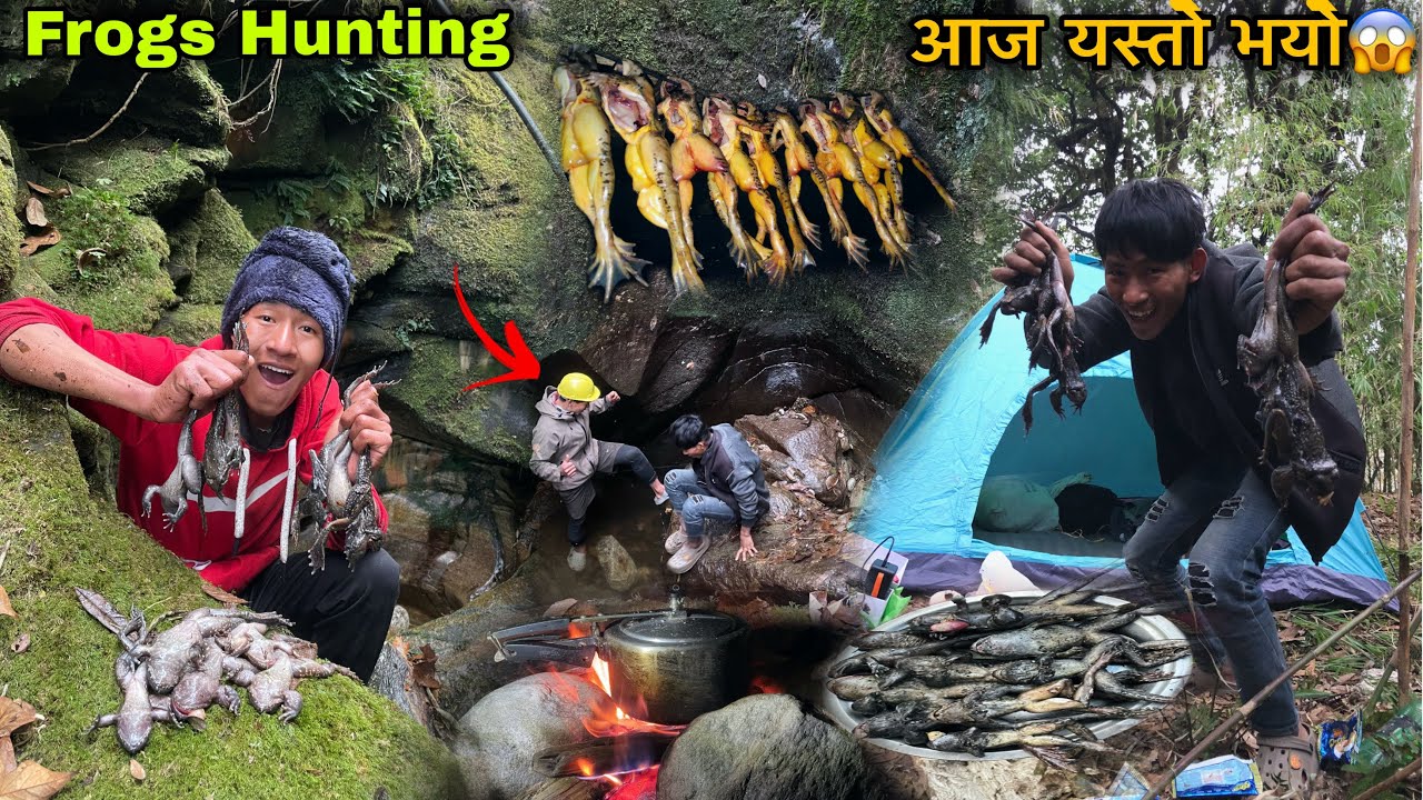 Danger Frogs Hunting in Himalayan River ! Village Life ! First Time Paha Sikarma Yasto Vayo😢