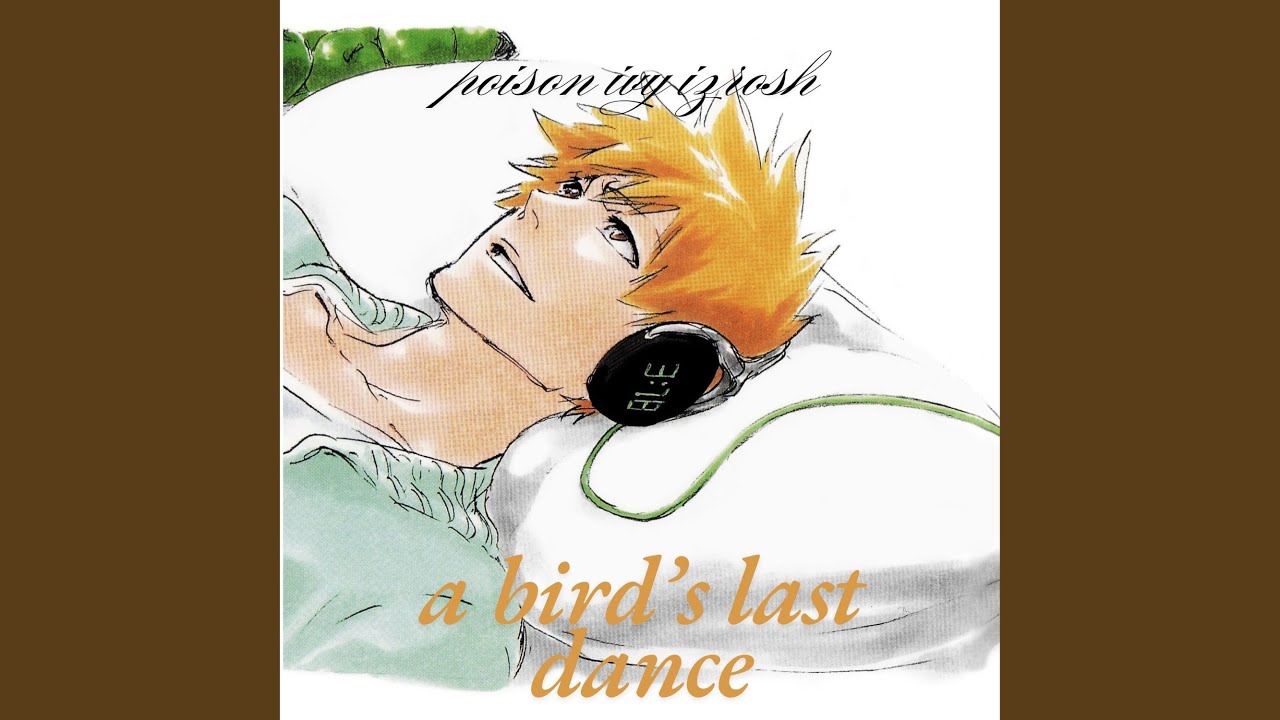 a bird's last dance