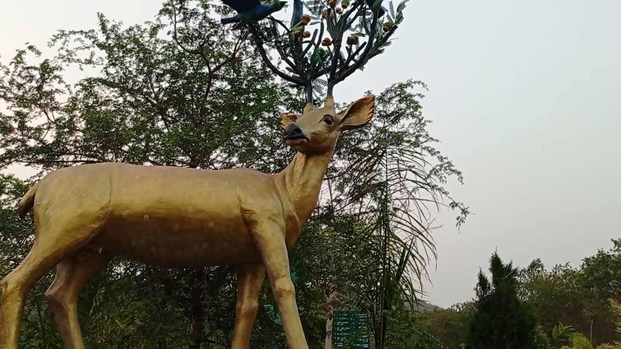 mayuri park butterfly garden
