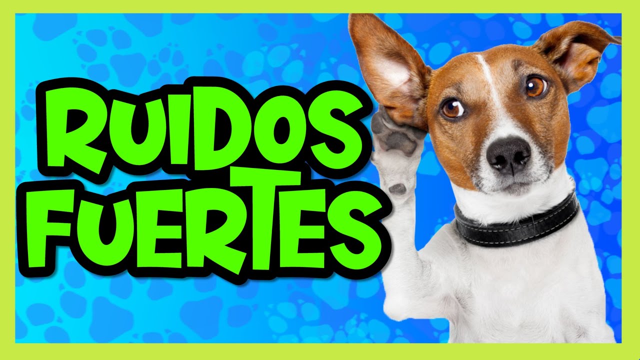 CFD \\ Desensibilización A Ruidos Fuertes