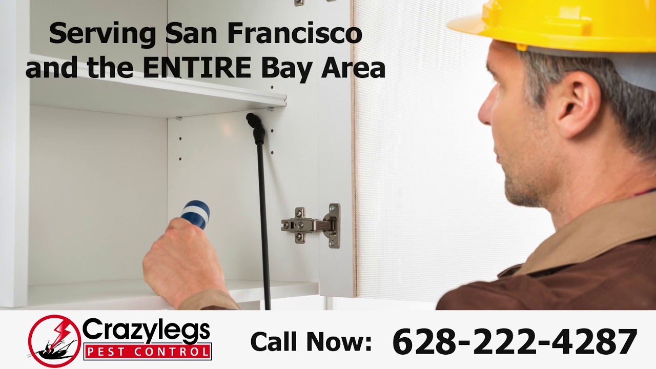 Pest Control San Francisco | Pest Control Exterminator Services in San Francisco
