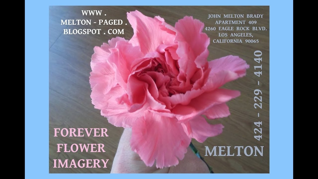 SOACAM SUGAR 5 2019  720 480 1024VBR 395 MB 51 48