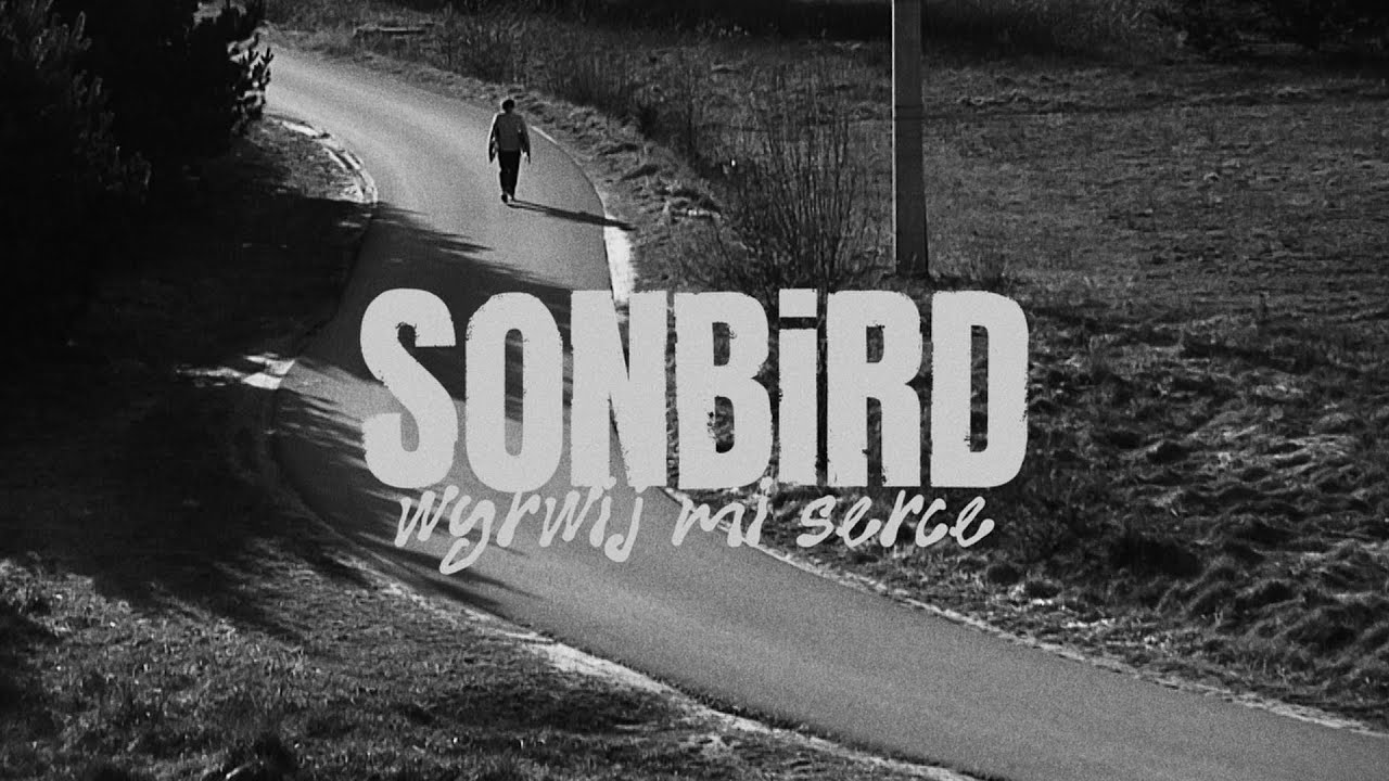 Sonbird - wyrwij mi serce (visualizer)