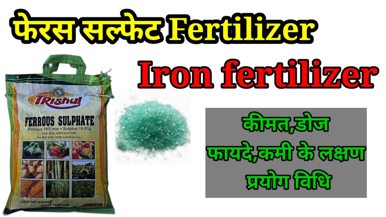 Ferrous sulphate fertilizer | फेरस सल्फेट का उपयोग | iron fertilizer