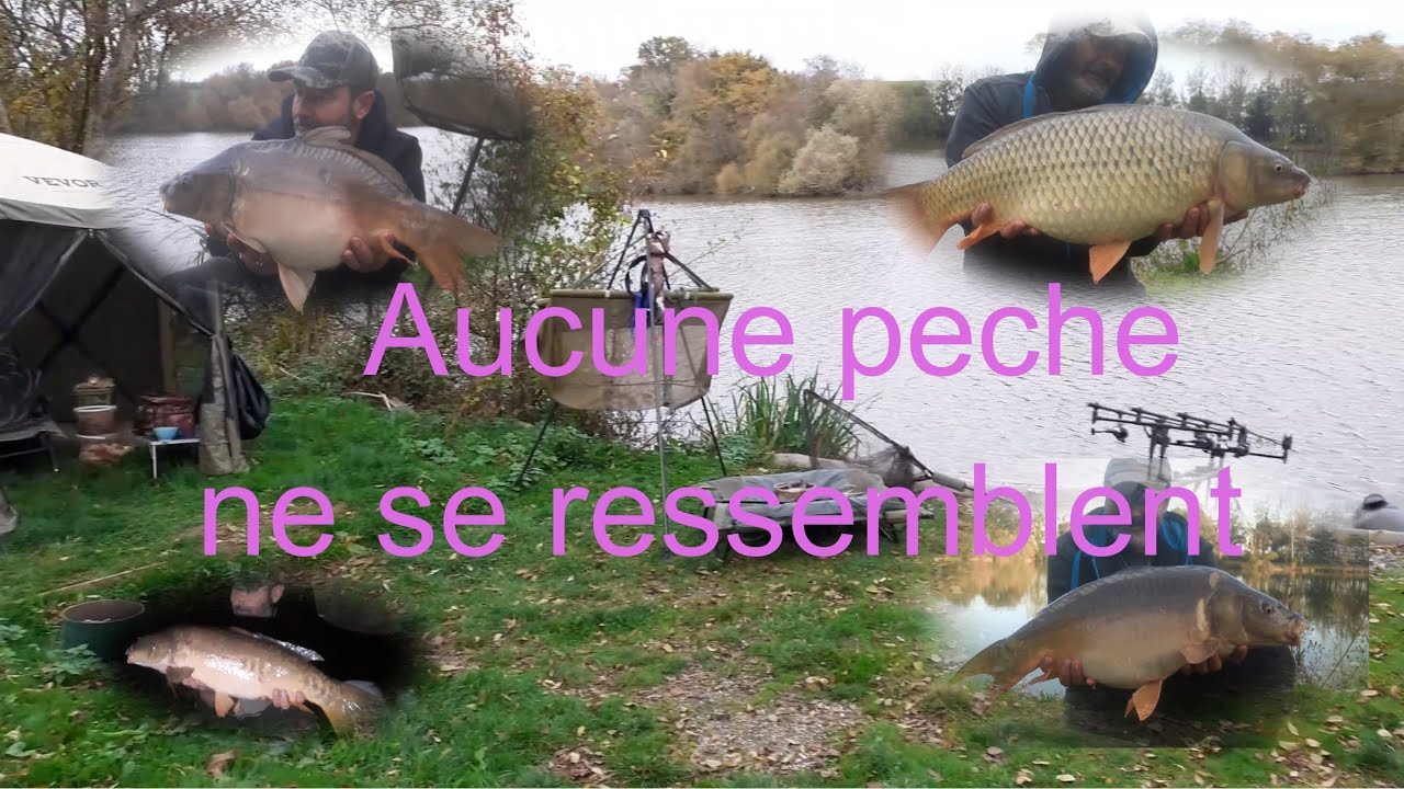 peche de la carpe , ne se ressemblent pas