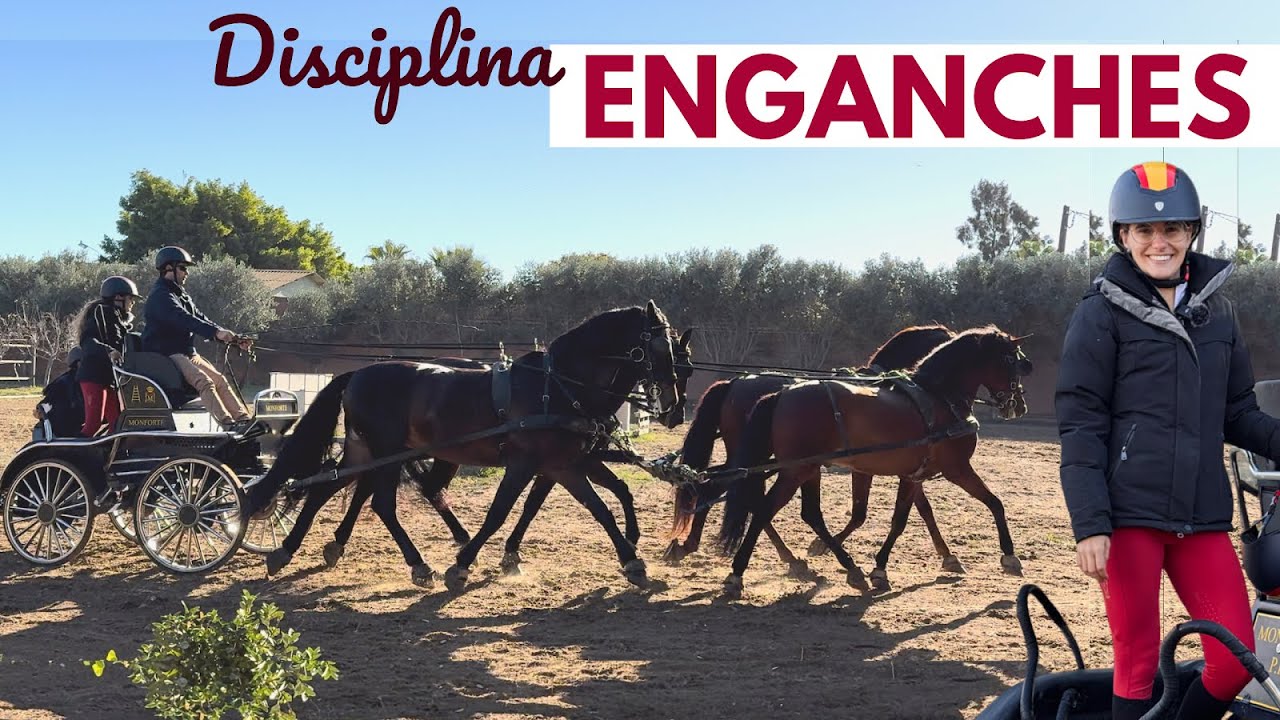 Probamos el ENGANCHE ⛓️🐴 - Disciplina