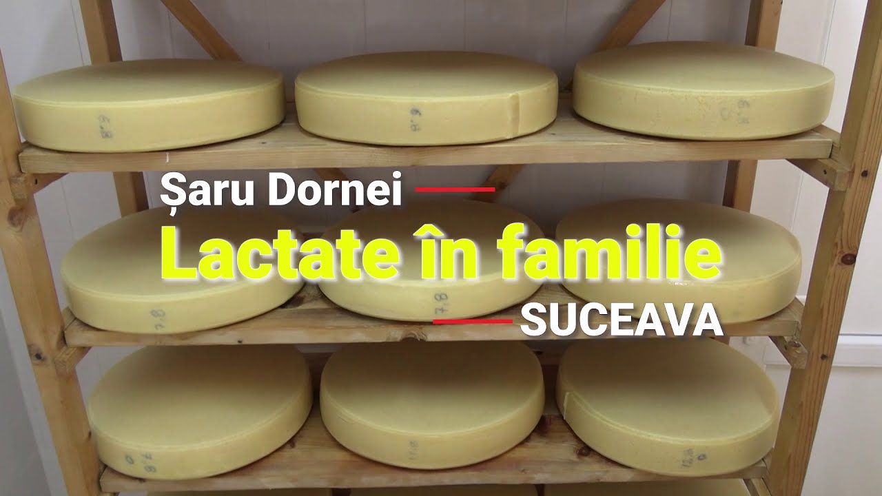 Lactate în familie - Șaru Dornei, județul Suceava