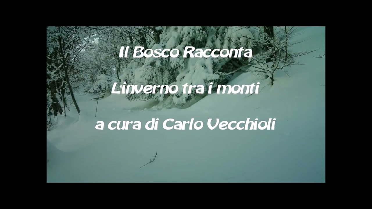 Il Bosco Racconta. L'Inverno tra i monti
