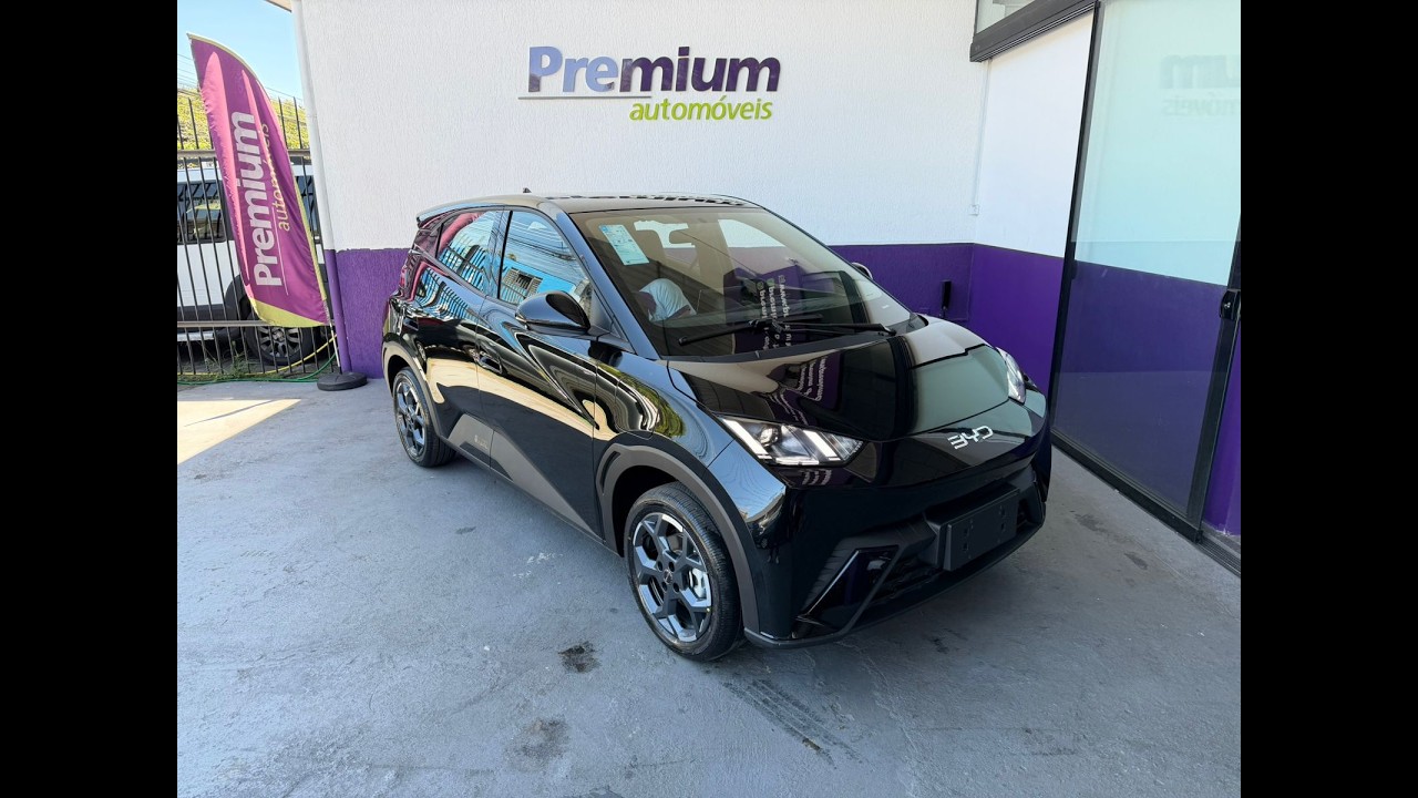 BYD DOLPHINI MINI - 2026/2027