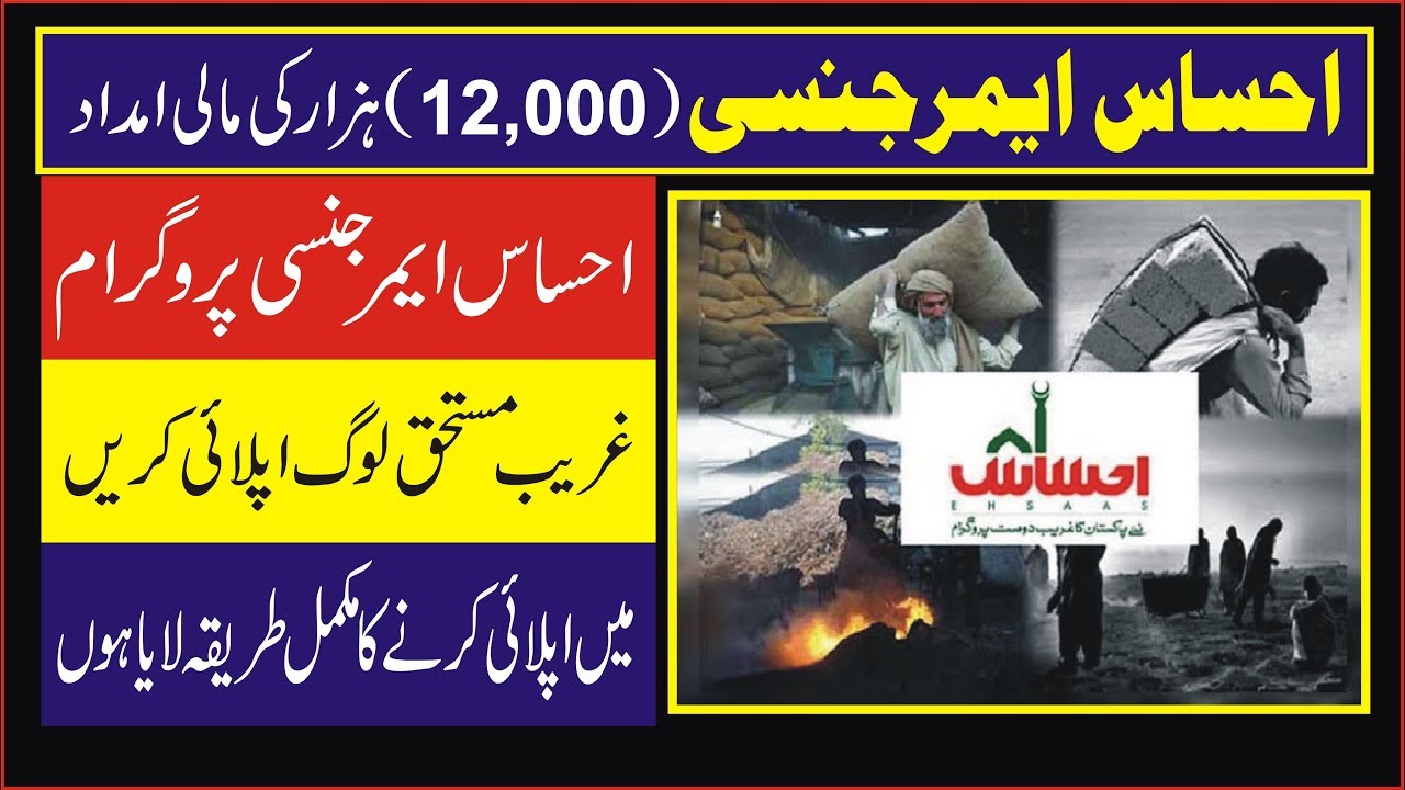 How to Apply for Ehsaas Emergency Cash 12000 Programme || HAMZA REMIX INFO