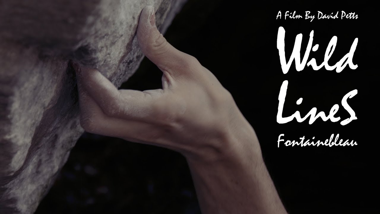 Wild Lines: Fontainebleau
