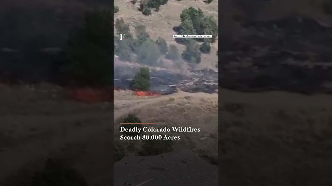 Deadly Colorado Wildfires Scorch 80,000 Acres | Firstpost News | N18G