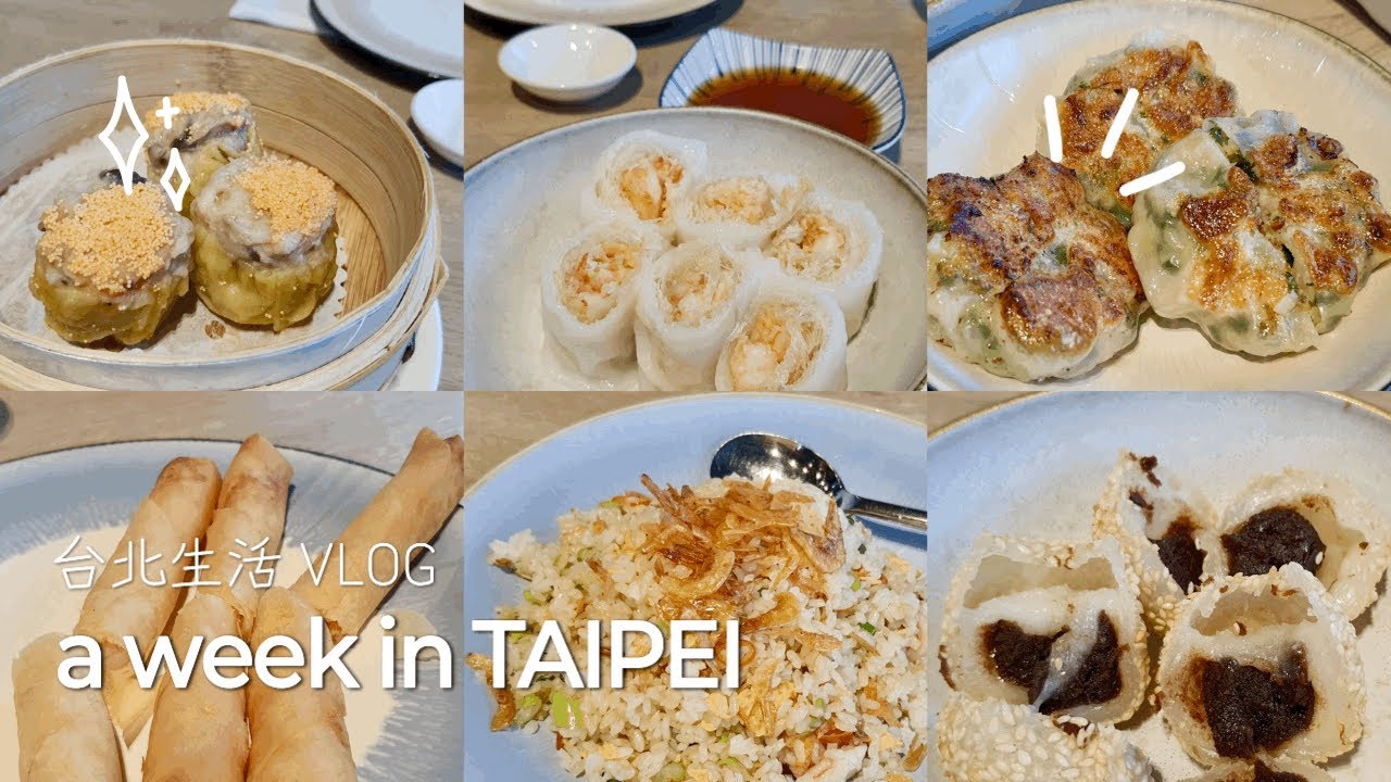 대만일상 브이로그 🥟 맛있는 딤섬집을 하나 더 알게 되어 기쁘다 