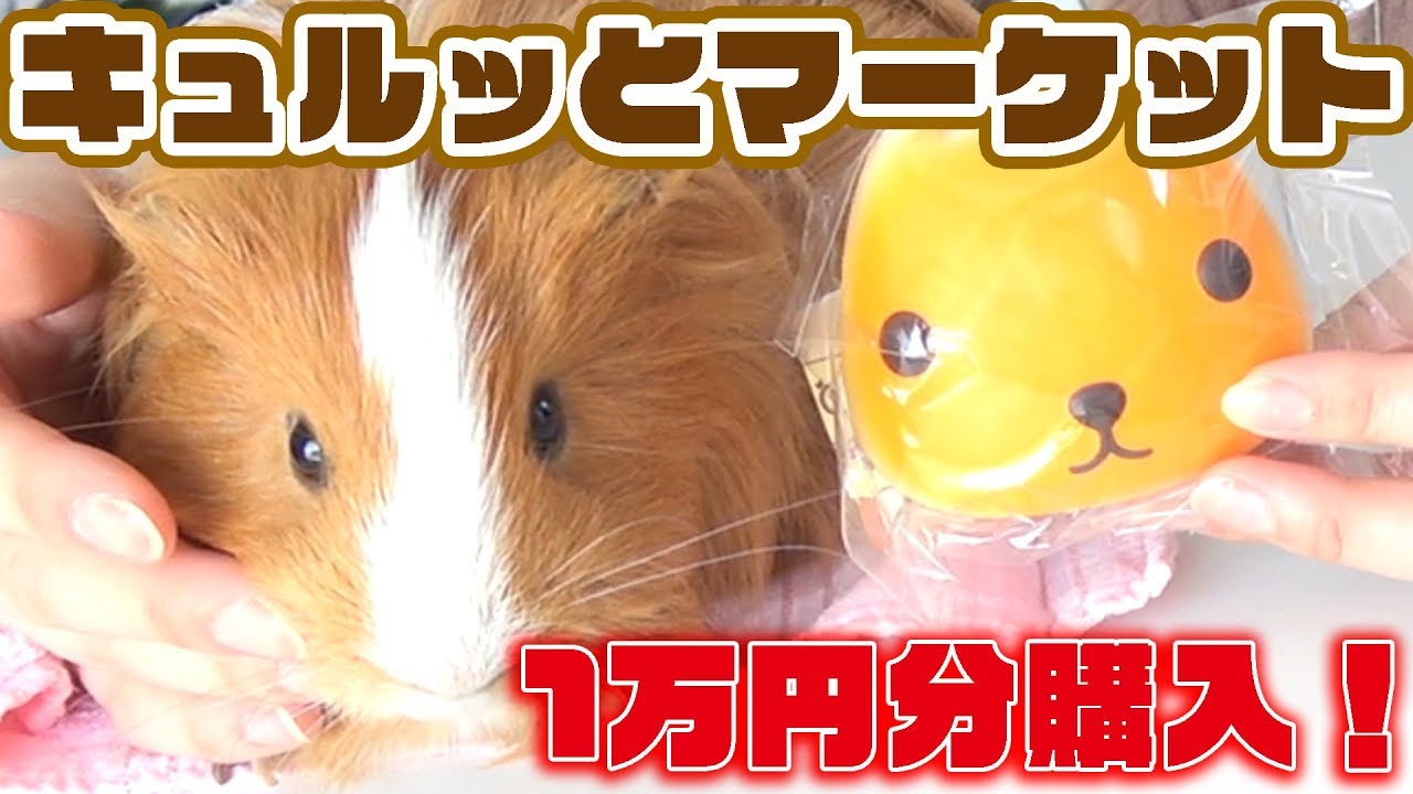 【カピバラさん】モカくんと開封します！【キュルッとマーケット】
