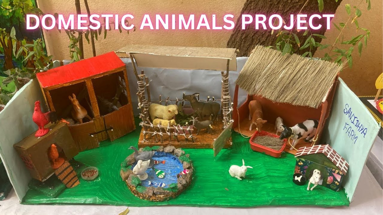 DIY Farmhouse Model for School Project | Domestic Animals with Food & Shelter | ಸಾಕು ಪ್ರಾಣಿಗಳು