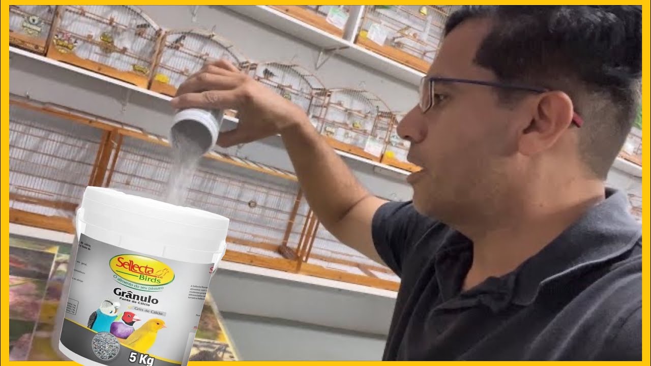 A IMPORTÂNCIA DO GRITS MINERAL PARA OS PÁSSAROS