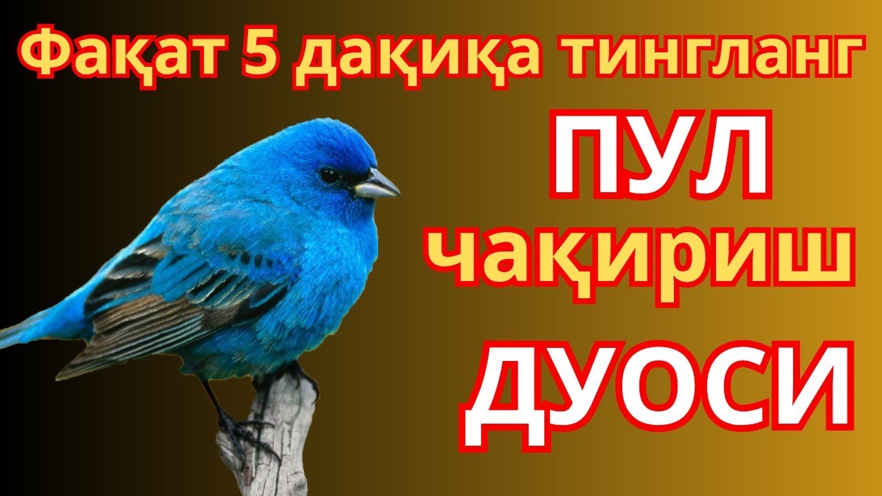 🤲 Бойлик дуоси | Карзингиздан кутилиб тездабойиб кетасиз Иншааллох