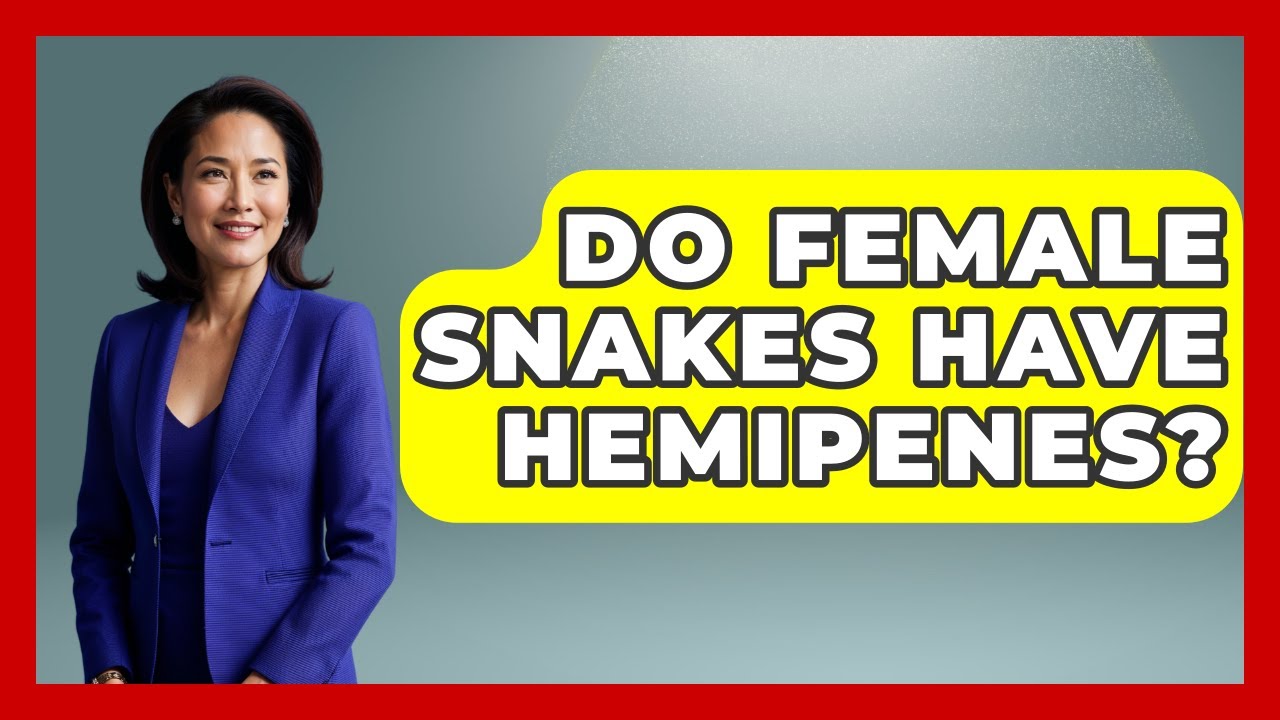 Do Female Snakes Have Hemipenes? - Reptilian Wonders