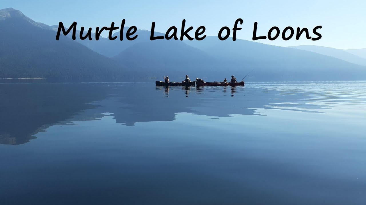 Murtle Lake of Loons