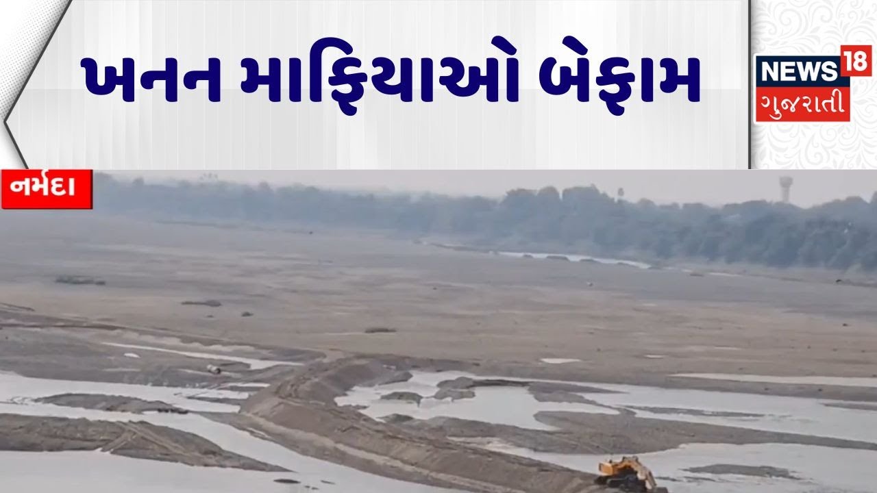 Narmada Mineral Mafia News | ખનન માફિયાઓ બેફામ | MP | Mansukh Vasava | Gujarati News
