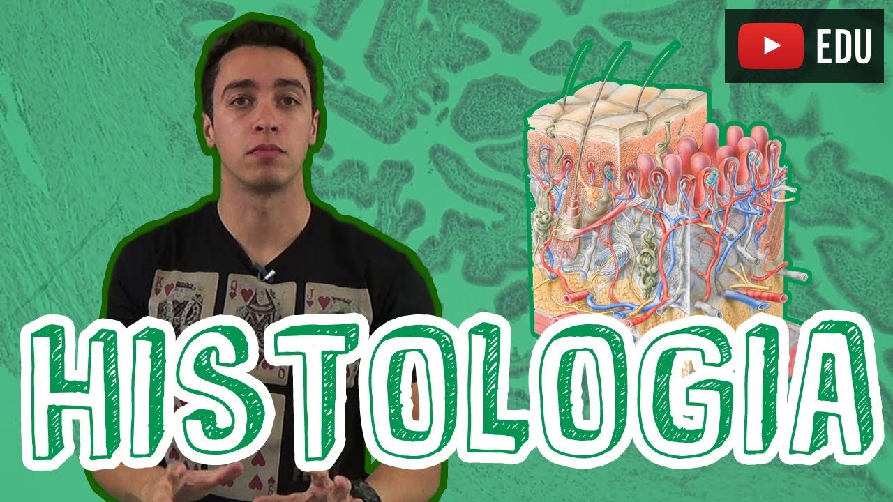 Biologia - Histologia - Visão Geral para o Enem e Vestibulares
