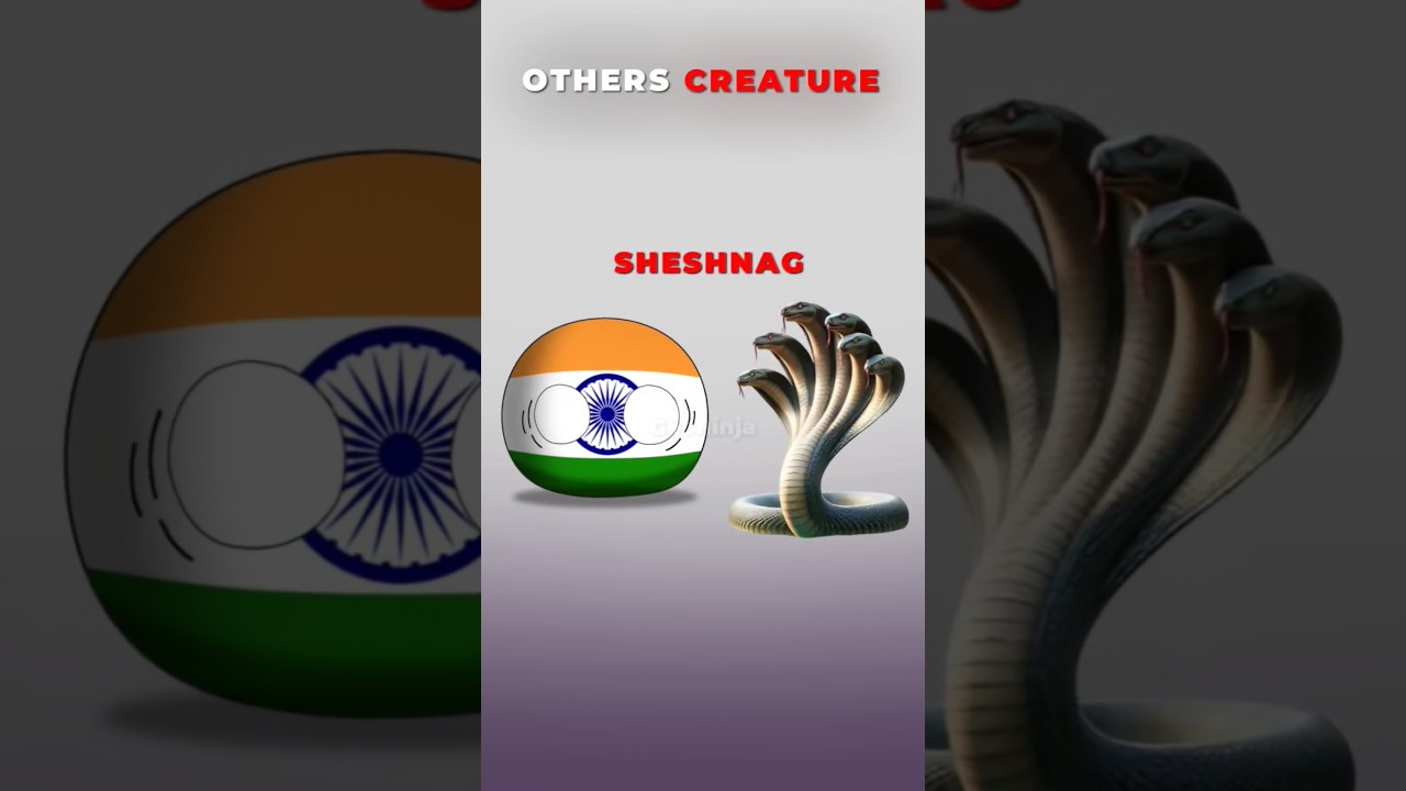 Other Countries Creature vs This Country |#shorts #countryballs #india #usa #indonesia