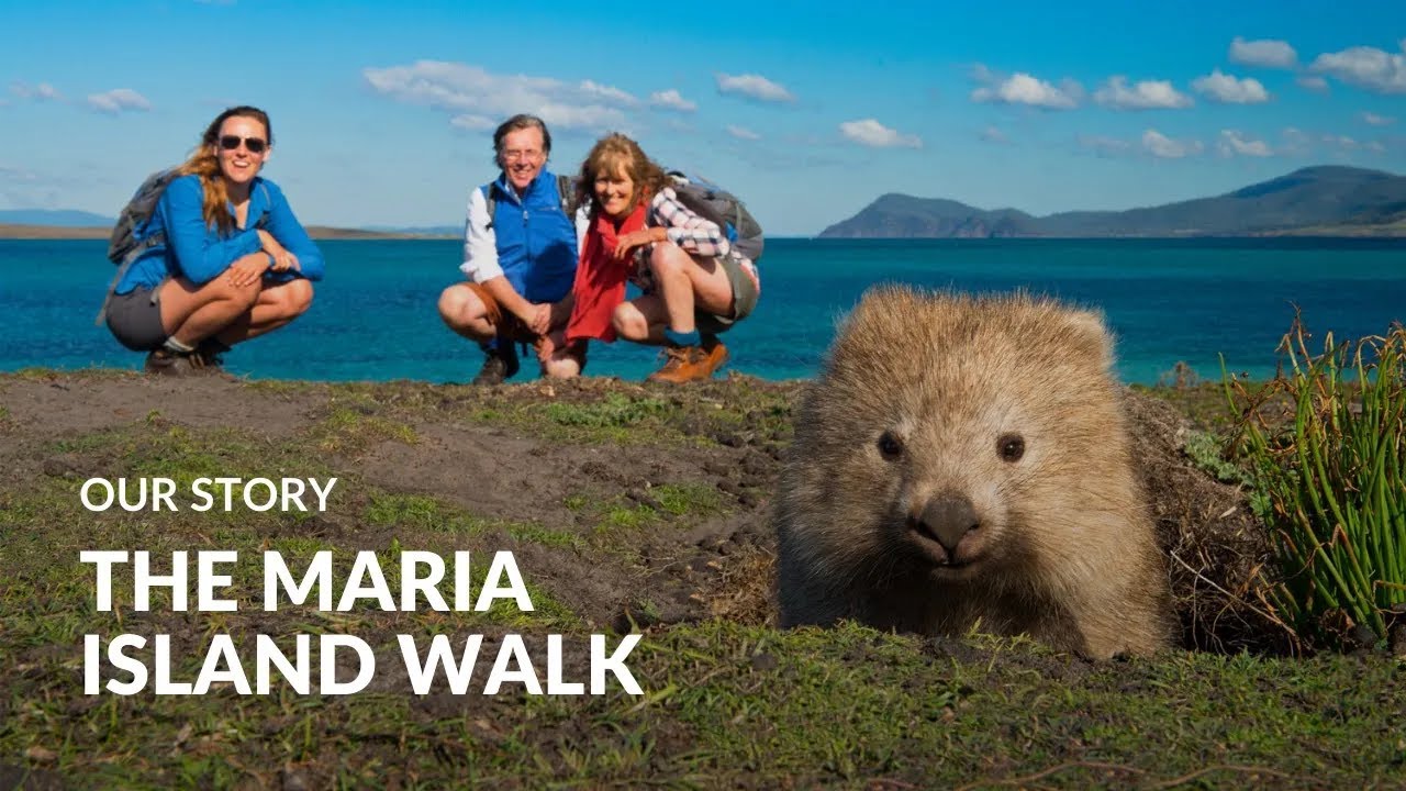 The Maria Island Walk: Our Story | Australian Wildlife Journeys