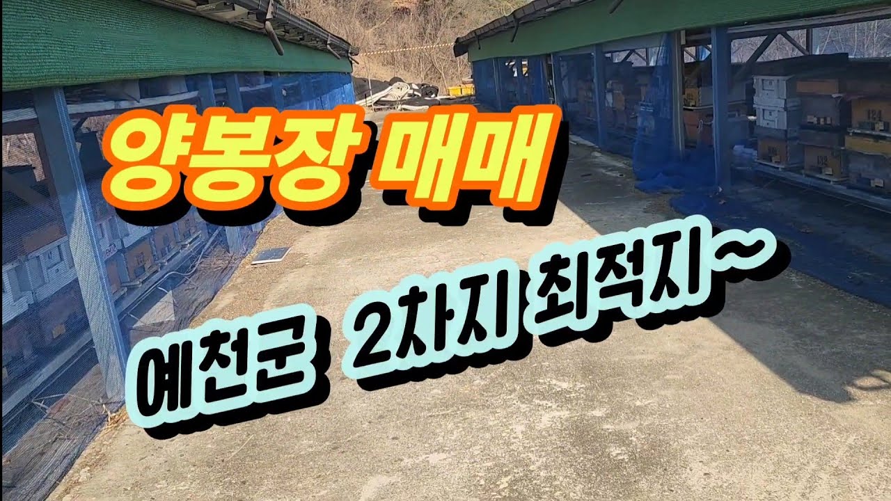 예천 양봉장 매매 합니다 01056331626