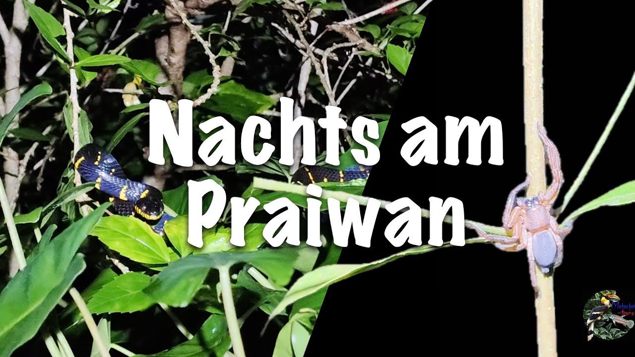 Nachts am Praiwan Wasserfall