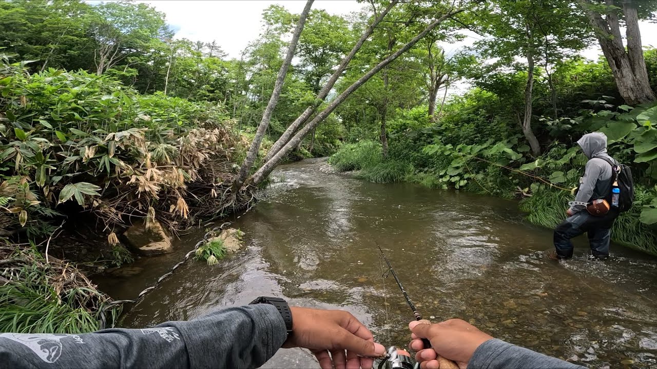 雨降った後の北海道渓流はもれなく釣れる