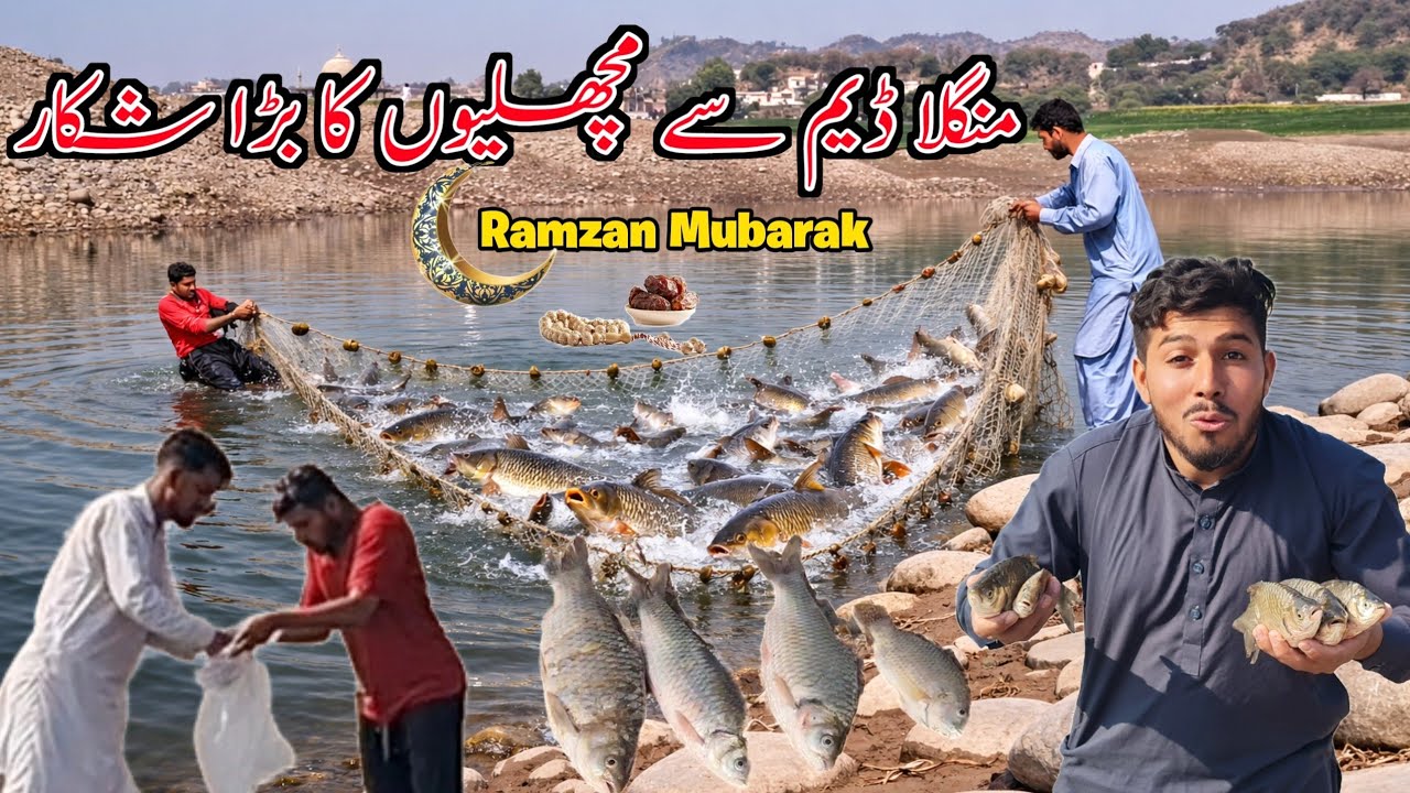 Huge catch of fish from Mangla Dam|Village Palak Mirpur Azad Kashmir|Good news 😀 