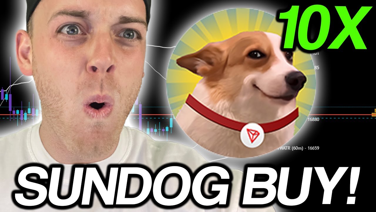 SUNDOG IS PERFECT BUYING OPPORTUNITY RIGHT NOW! 10X PUMP COMING!