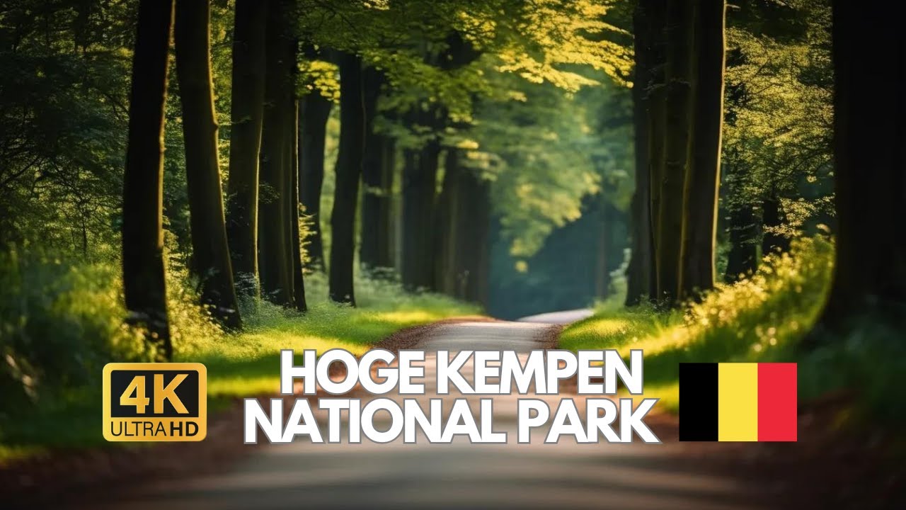 Hoge Kempen National Park 4K ride, Belgium